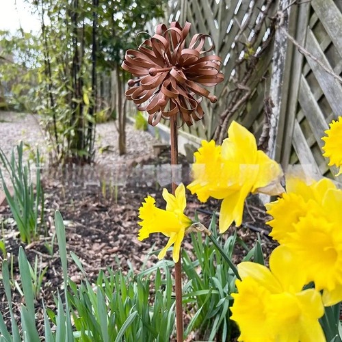 Outdoor dahlia garden stake - dahlia,